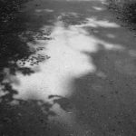 New York Central Park 1998