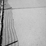 New York Central Park 1998