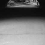 New York Central Park 1998